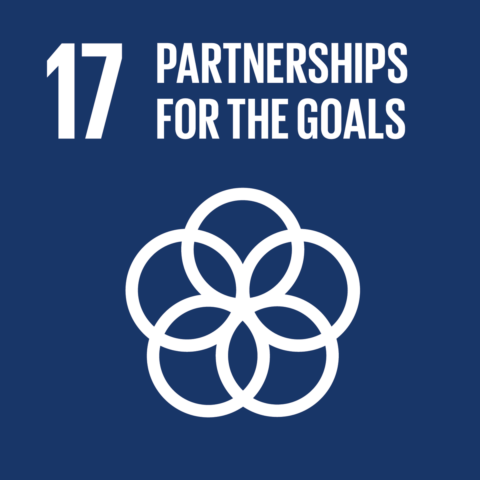 Sustainable_Development_Goal_17-480x480.png